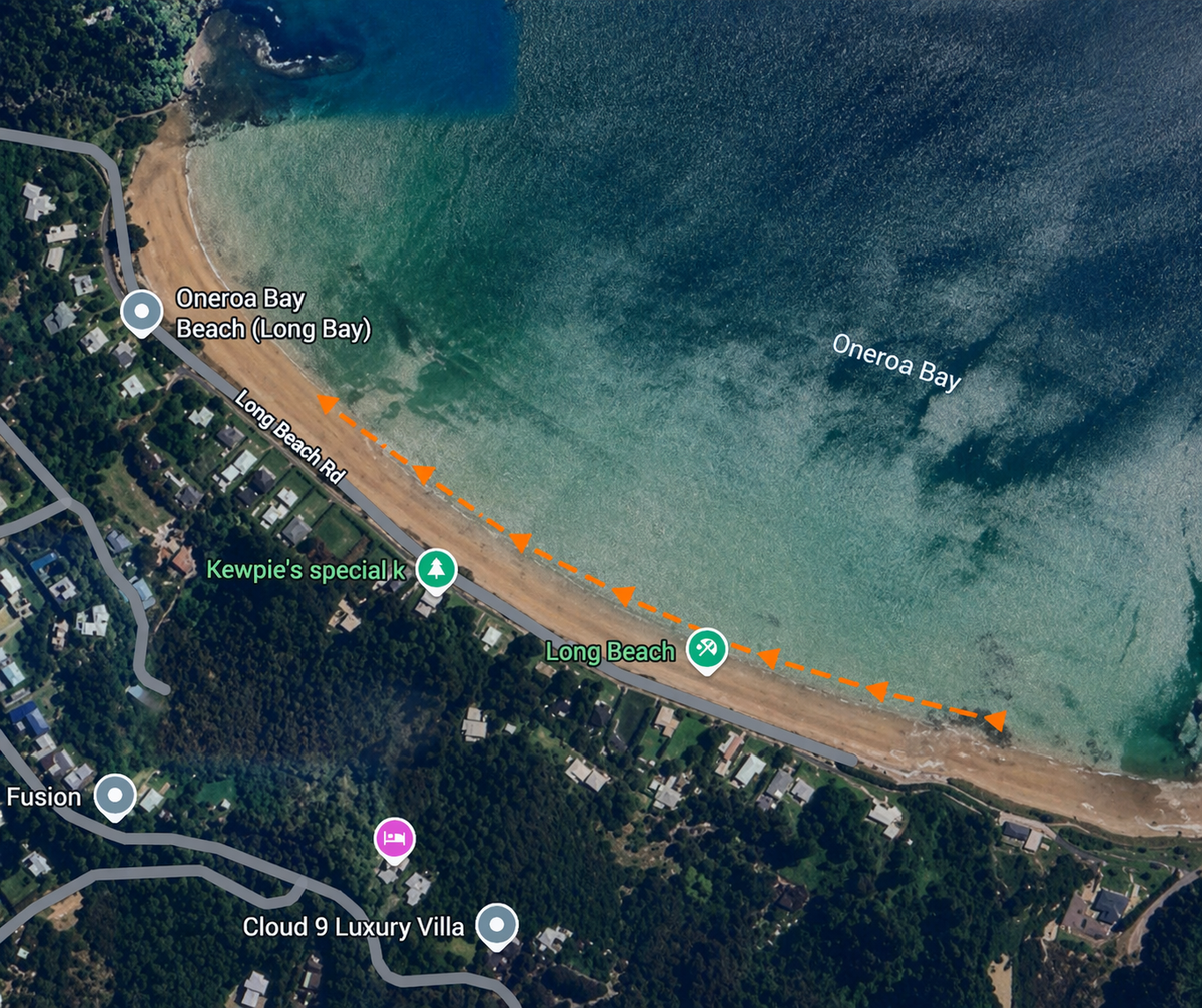 Oceankids Swim  - Super Safe Parallel to the Beach