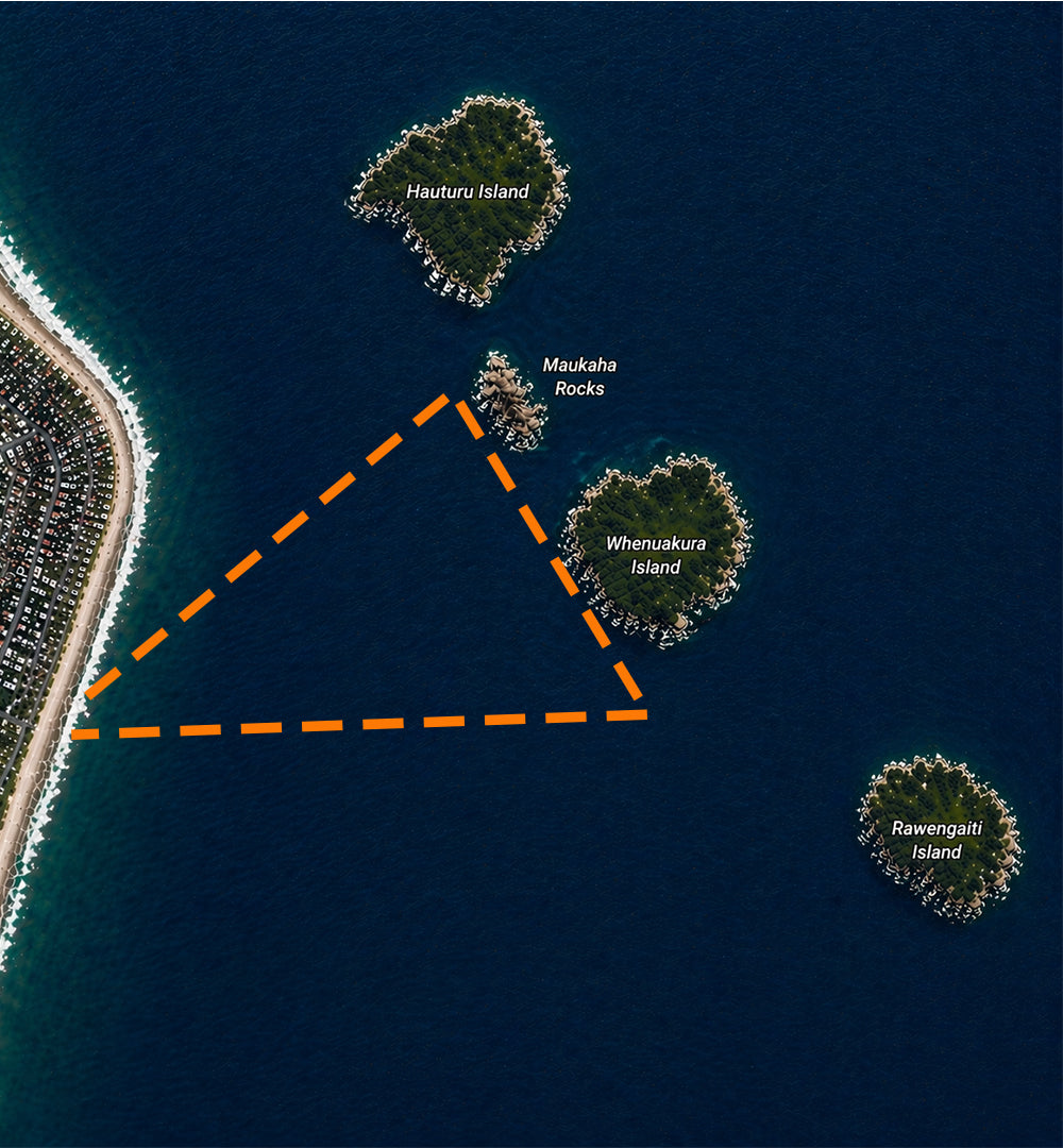The 2km Island Cruise Swim