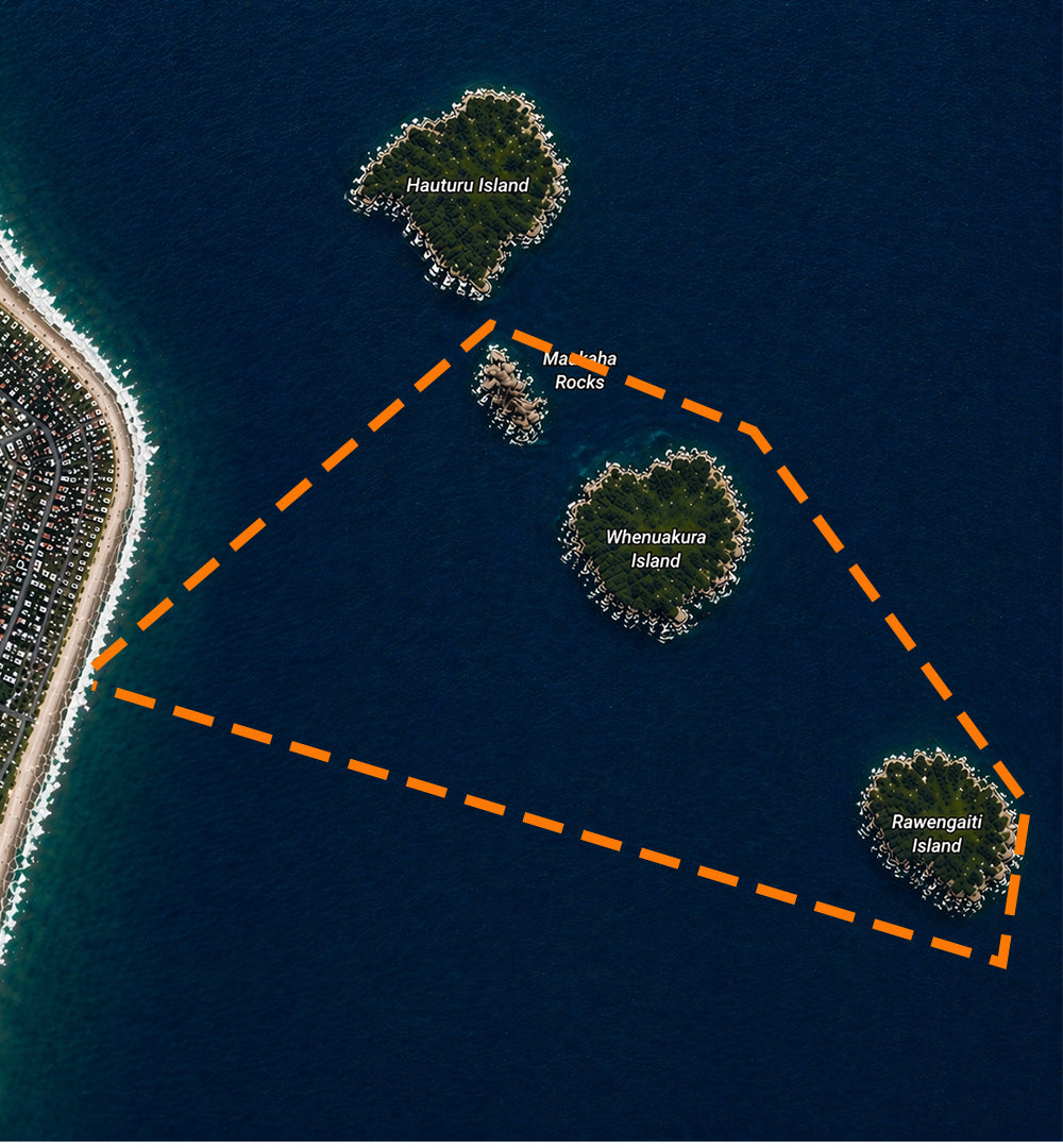 The Full 3.8km Islands Whenuakura Swim