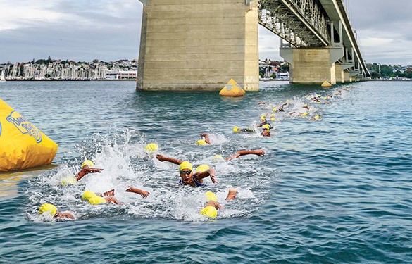 Competitive swimmers swimming beneath the Auckland Harbour Bridge