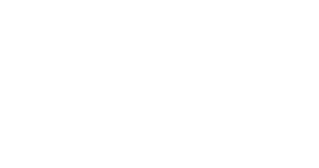 Blueseventy logo