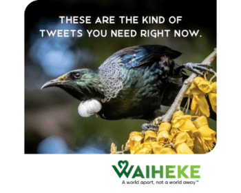 Waiheke Tourism